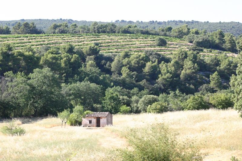 Luberon, in the heart of brushy ground, top hill, ancient converted relay post on a 6 hectares plot